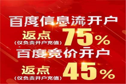 竞价排名失败案例：原因与教训